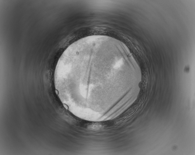 X0000116650759201001111229