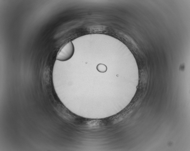 X0000116650761201001111229