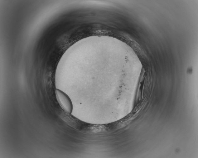 X0000116650762201001111229