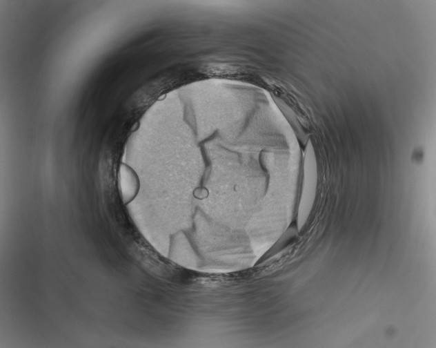 X0000116650763201001111229
