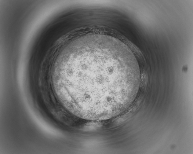 X0000116650765201001111229