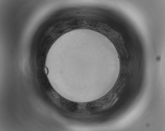 X0000116650766201001111229