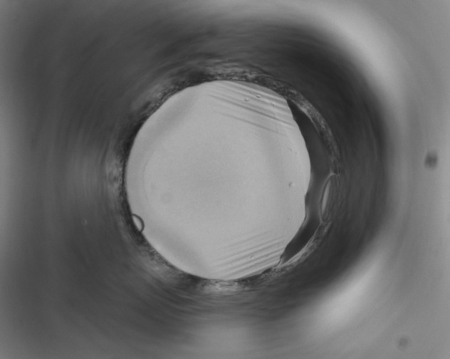 X0000116650767201001111229