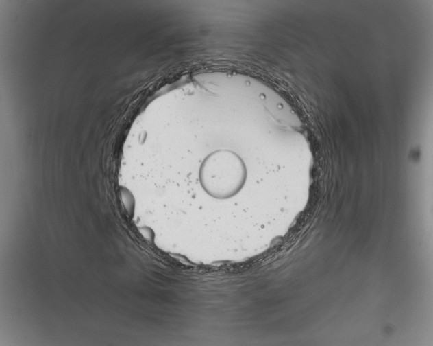 X0000116650769201001111228