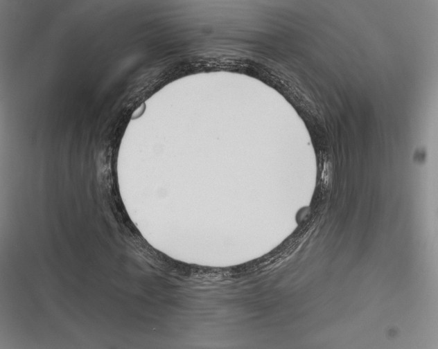 X0000116650771201001111228