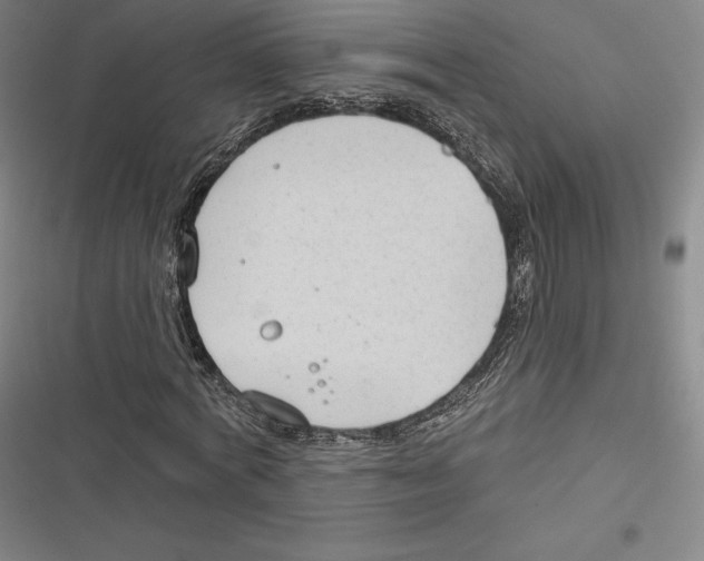 X0000116650772201001111228