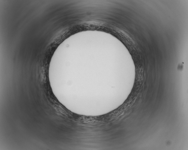 X0000116650774201001111228