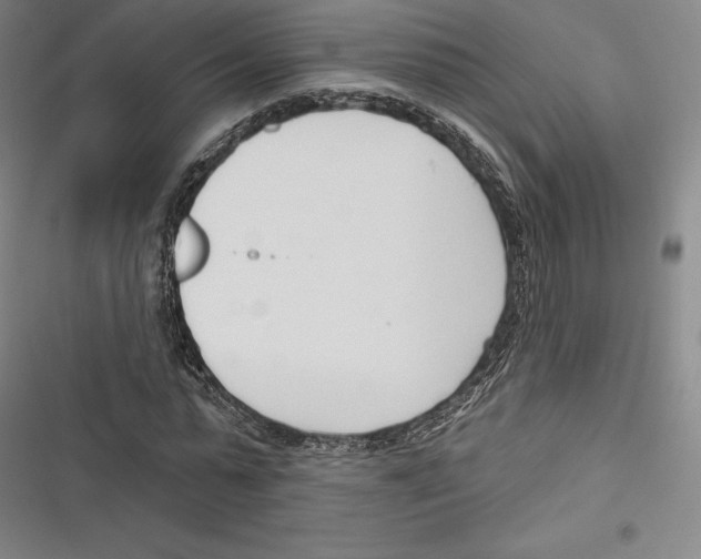 X0000116650775201001111228