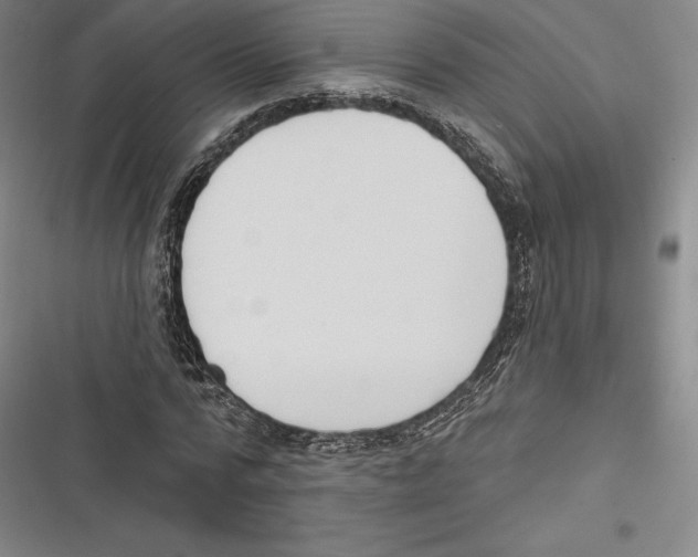 X0000116650776201001111228