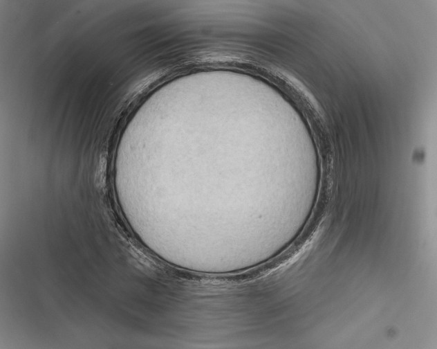 X0000116650777201001111228