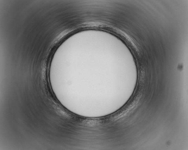 X0000116650778201001111228