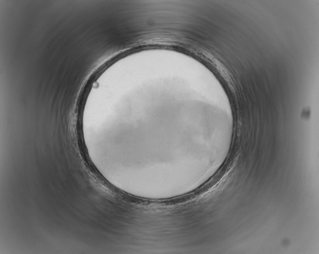 X0000116650779201001111228