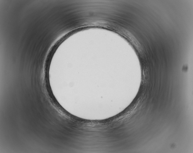 X0000116650780201001111228