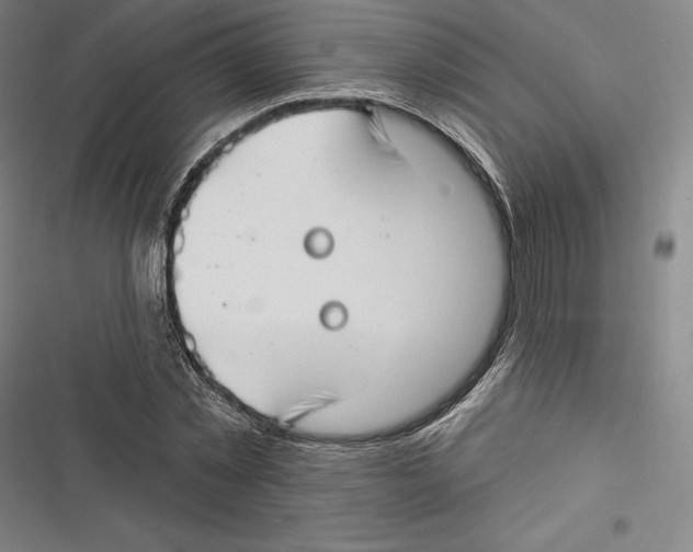 X0000116650781201001111228