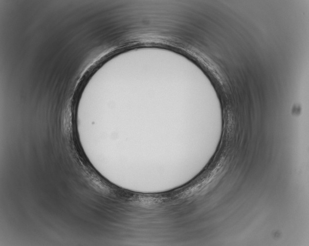 X0000116650782201001111228