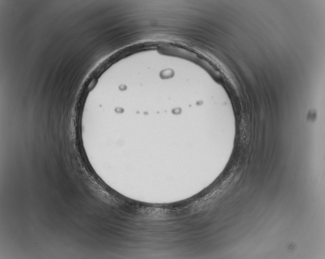 X0000116650783201001111228