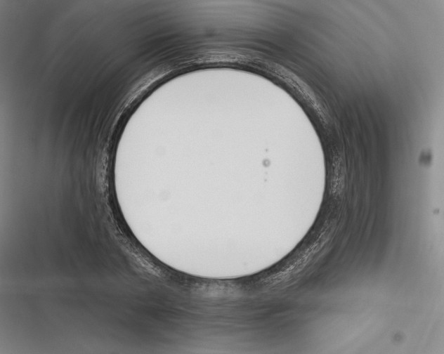 X0000116650786201001111228