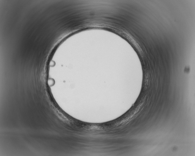 X0000116650787201001111228