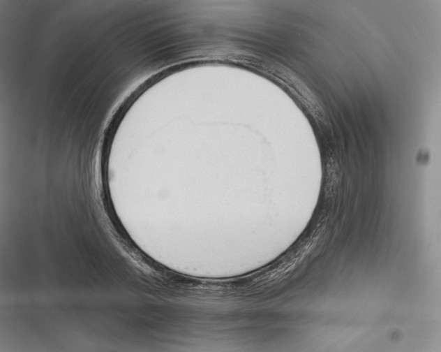 X0000116650788201001111228