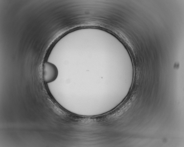 X0000116650789201001111228