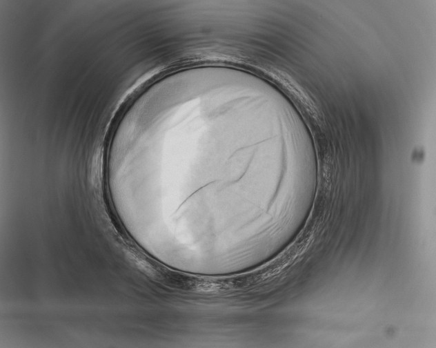 X0000116650790201001111228