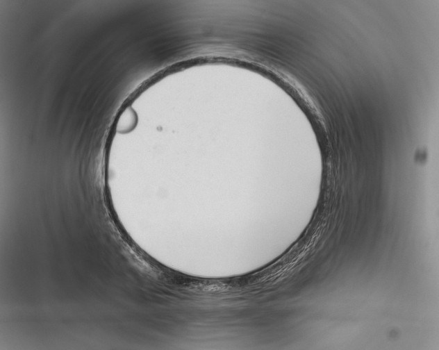 X0000116650791201001111228