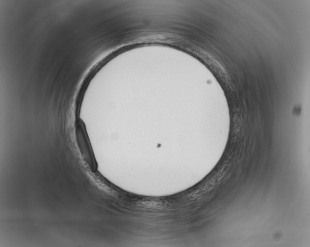 X0000116650792201001111228