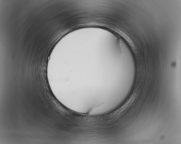 X0000116650793201001111228