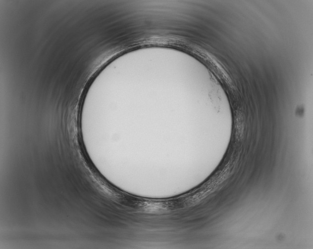 X0000116650794201001111228