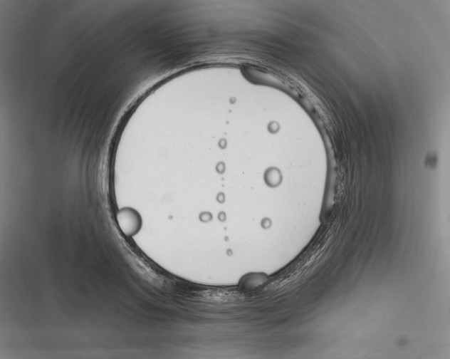 X0000116650795201001111228