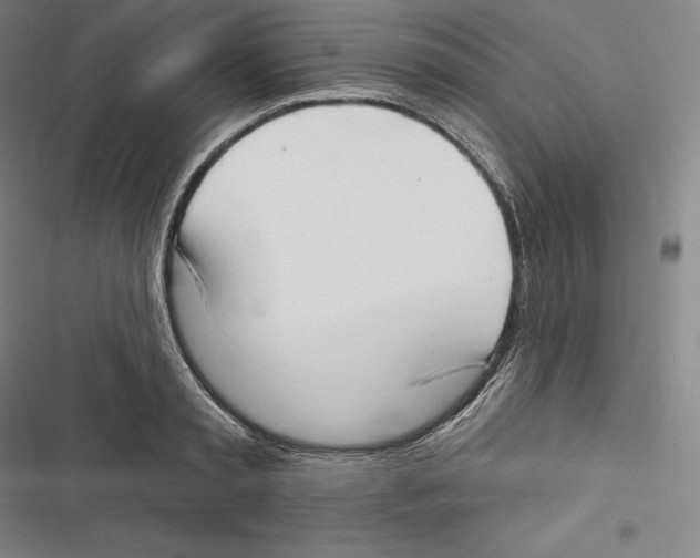 X0000116650797201001111228