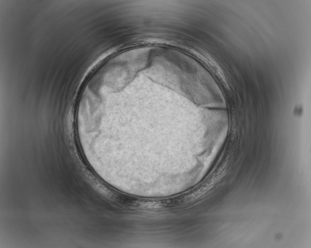 X0000116650798201001111228