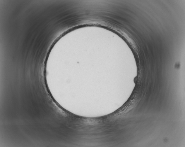 X0000116650799201001111228