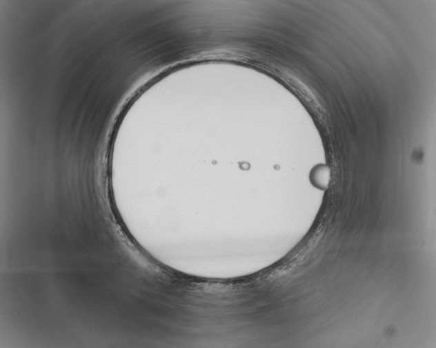 X0000116650800201001111228