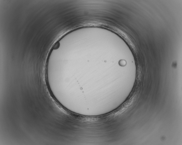 X0000116650802201001111228