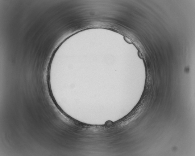 X0000116650803201001111228