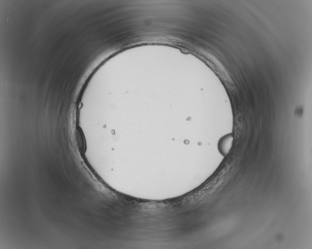 X0000116650804201001111228