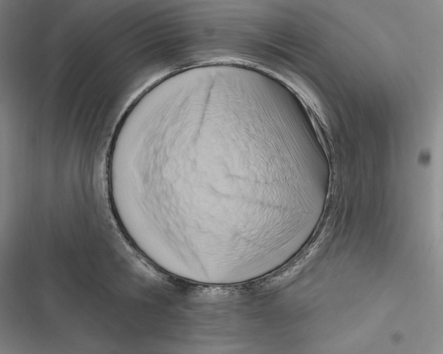 X0000116650806201001111228