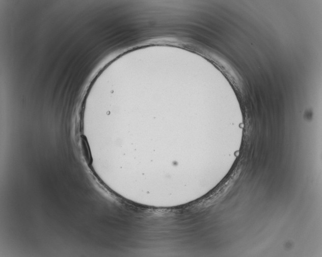 X0000116650808201001111228