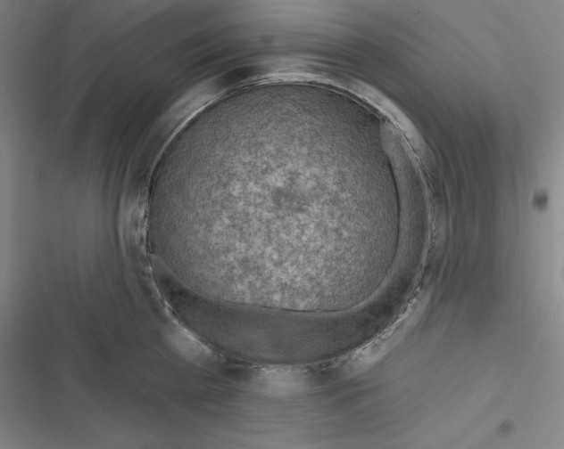 X0000116650809201001111228