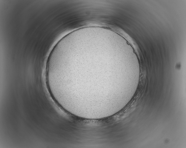 X0000116650811201001111228