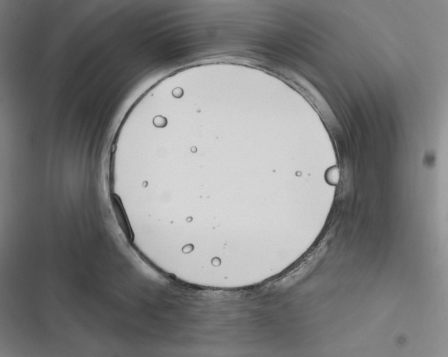 X0000116650812201001111228