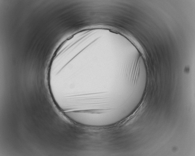 X0000116650813201001111228