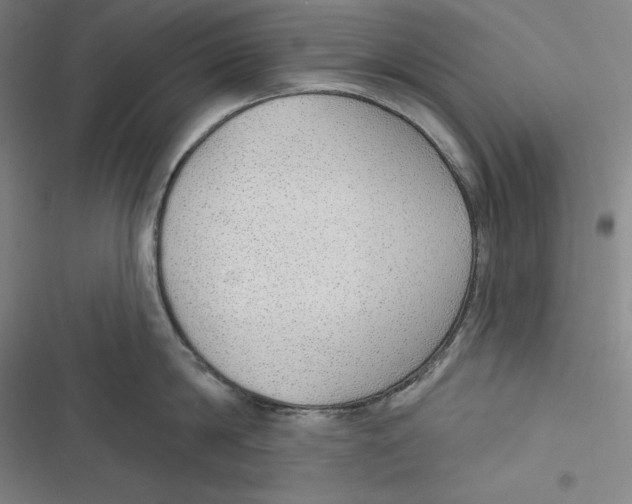 X0000116650814201001111228