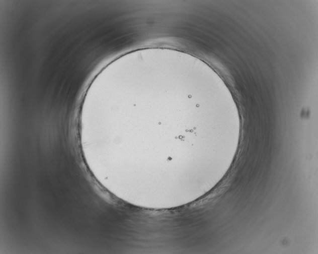 X0000116650816201001111228