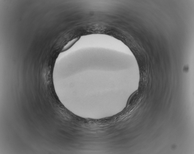 X0000116650818201001111227