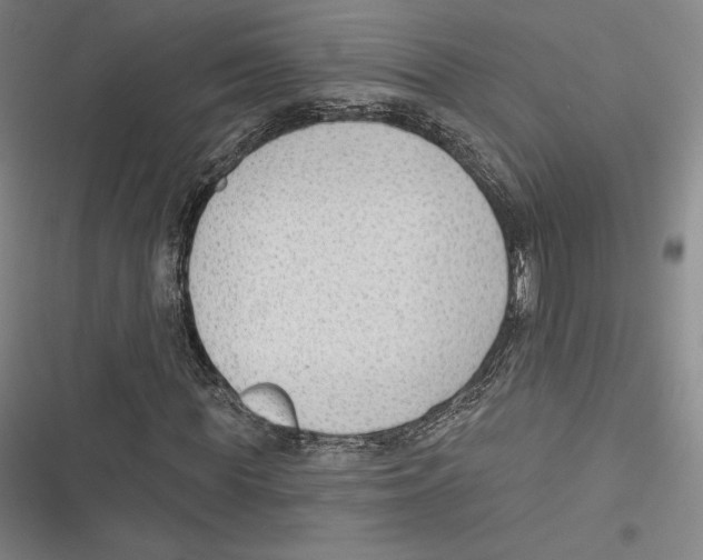 X0000116650819201001111227