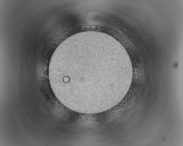 X0000116650820201001111227