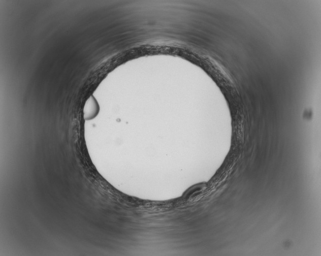 X0000116650821201001111227