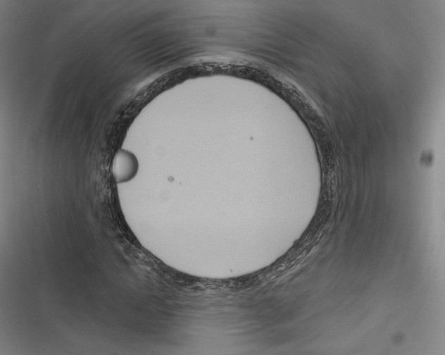 X0000116650822201001111227